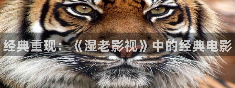 青丝影院电视剧最新热播推荐