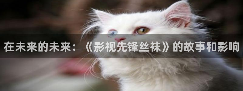 青丝影院免费观看电视剧策驰最新