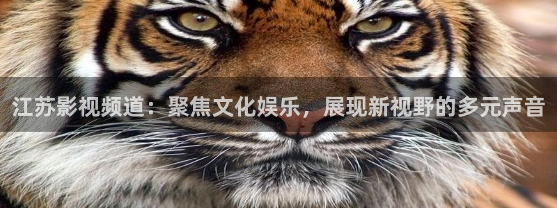 青丝影院视频在线播放